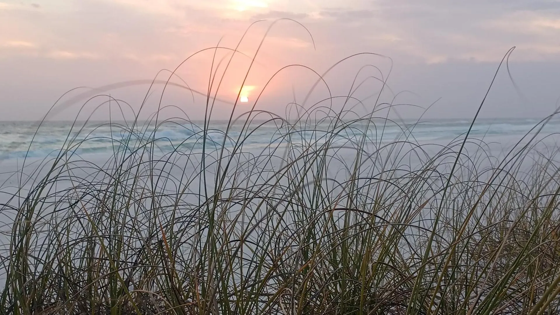 Ξενοδοχείο με διαμερίσματα Couples Getaway, Honeymoon Sweet, Perfectly Cozy Beach Front Condo With Kitchen, Pool, Free Parking,Check-In At Door Panama City Beach